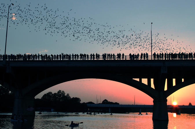 kayak below the bat bridge at sunset
