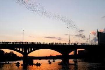 a train crossing a bridge over a body of water